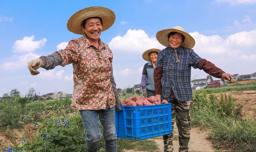 生鮮食材配送是如何定價的，多久定一次價？